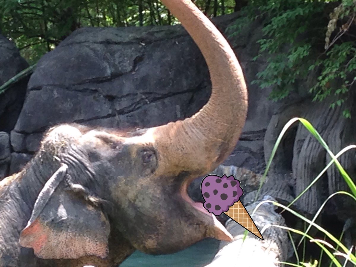 SmokinTiki's tweet image. @CincinnatiZoo @graeters #RaspberryChocolateChip #cincyzoo