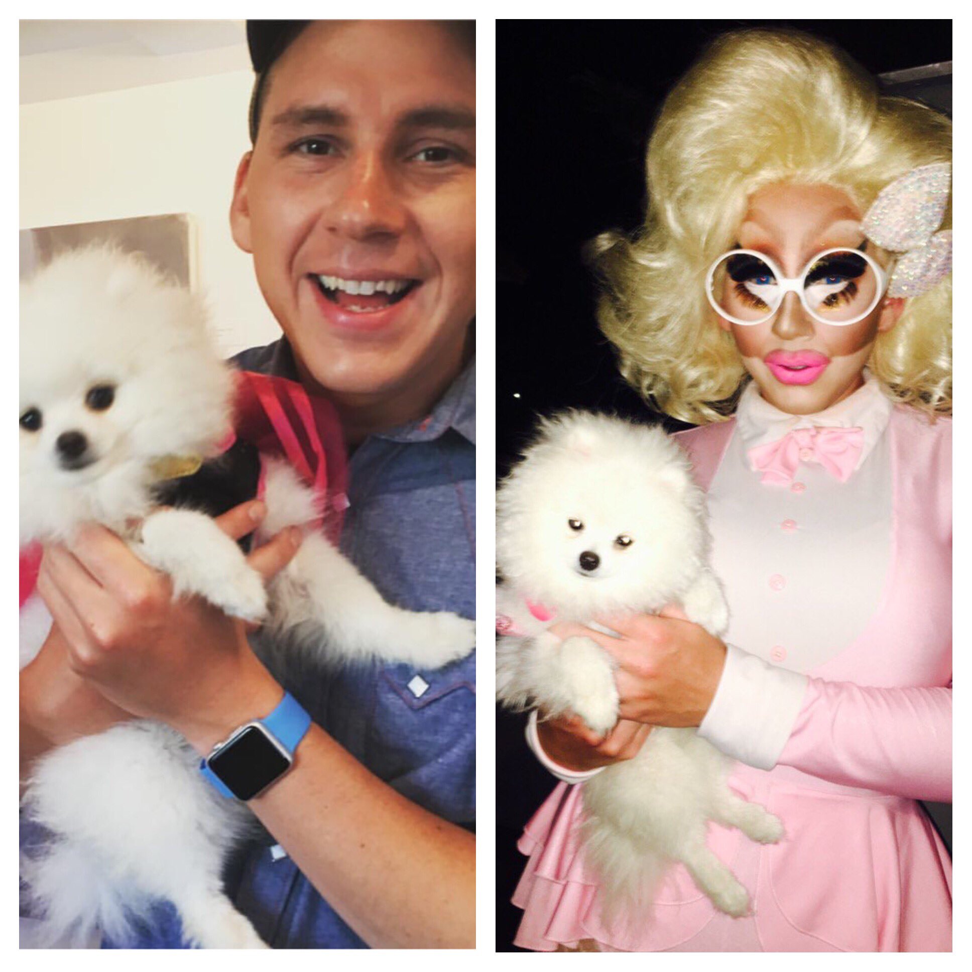 Mattel dog 2025