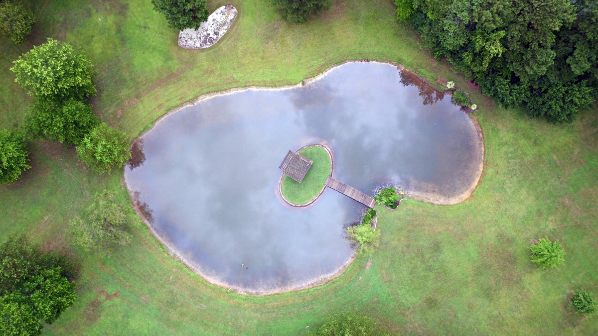 soaringimage's tweet image. 