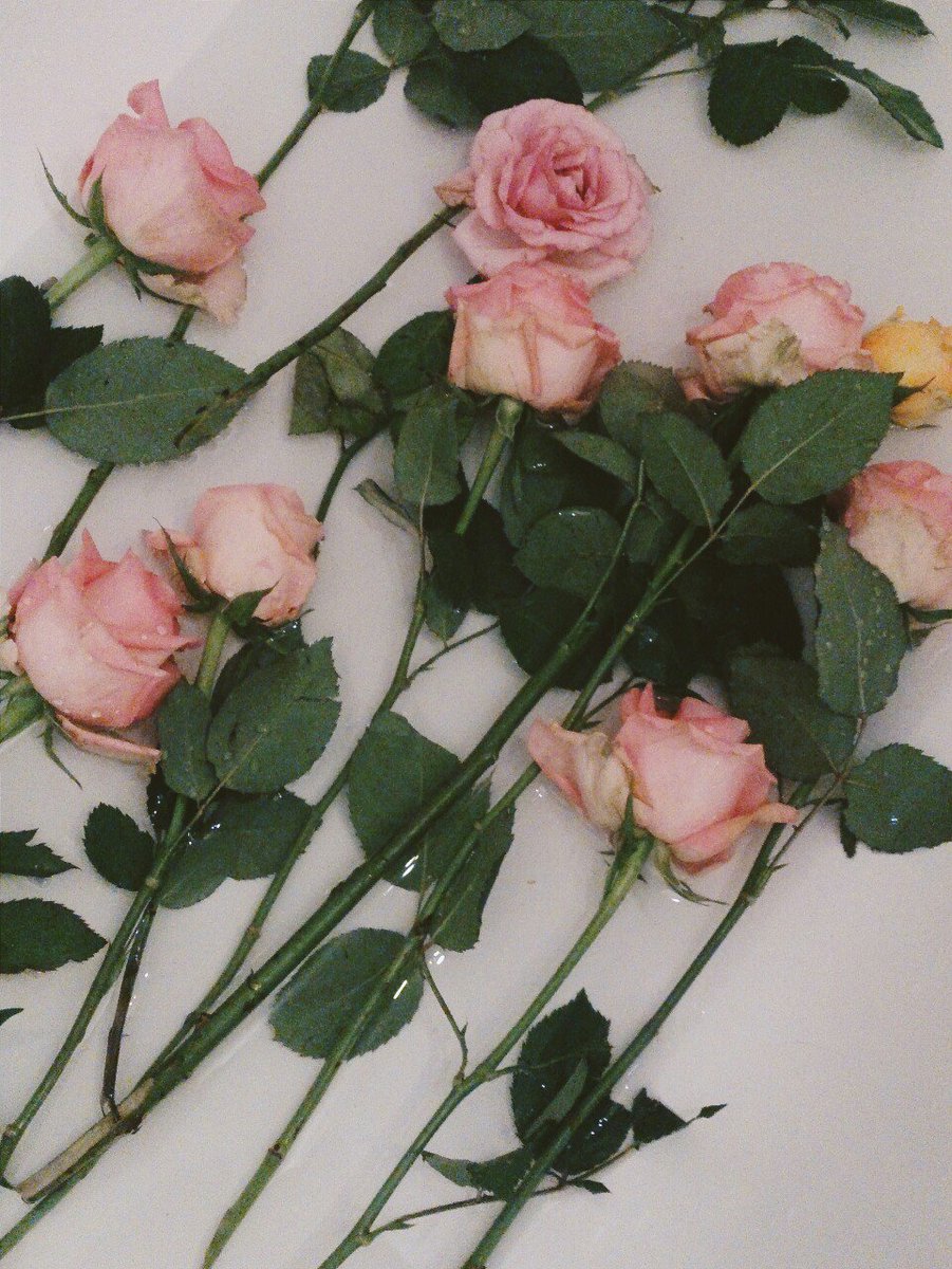 httpxi's tweet photo. https://t.co/xHxiEwKme5