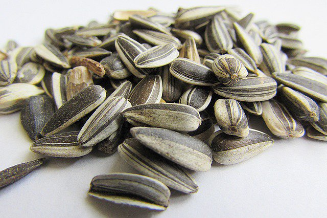 How many carbs in sunflower seeds? Find out... bit.ly/2bodNNy  #seeds