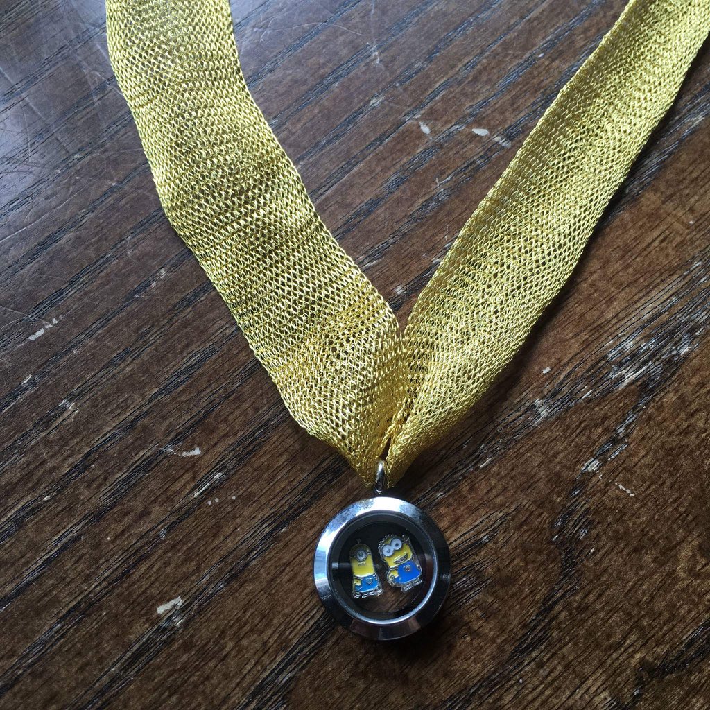 LocketUpLady's tweet photo. @caitymedrek or this really cool flexible titanium chain (with Pokemon locket) for #TeamInstinct  ($43.50 total) https://t.co/sjdJDeRlzJ