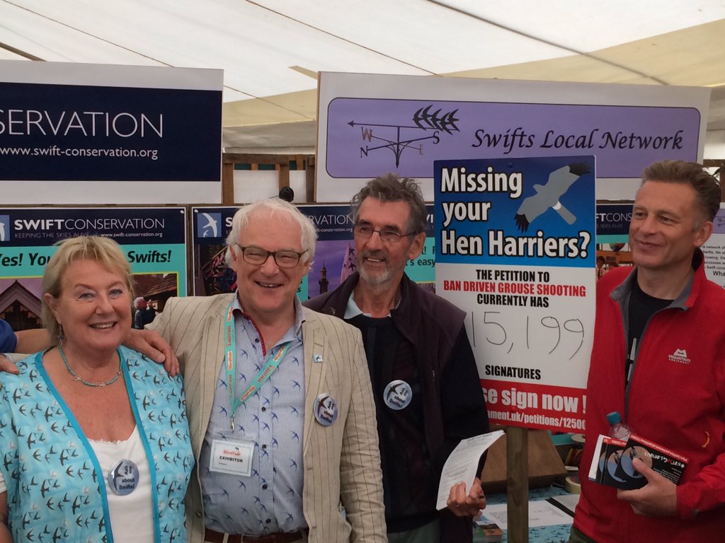 Swift-mad mum & friends spreading the word @TheBirdfair about @SaveourSwifts @AfSwifts