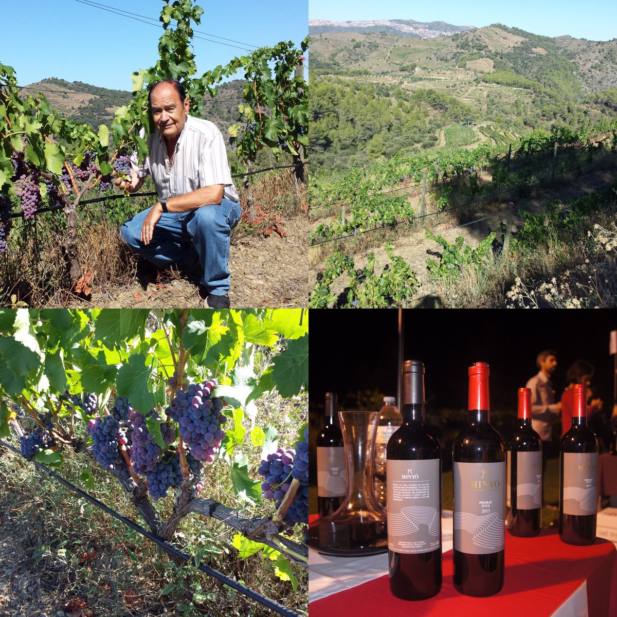 nit_de_vins's tweet photo. Minyó, avui també el trobareu a la #nitdevins2016 #priorat #vicatalà #winetasting https://t.co/lsrmL6BzEO