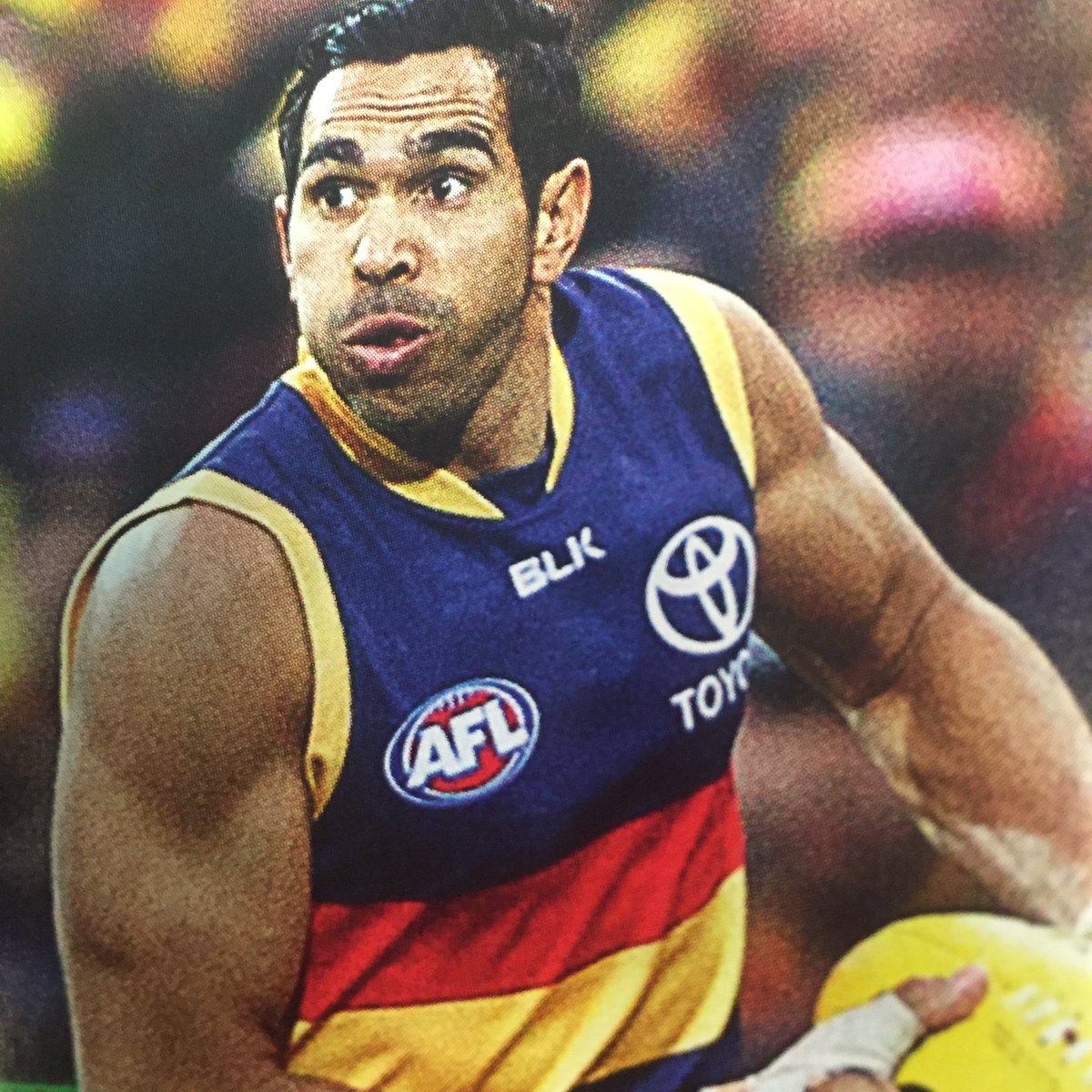 peterawalsh's tweet photo. @Adelaide_FC @abcgrandstand @AFLNewsWire @PAFC  Congrats Eddie - 250 reasons to go to the Football. A sure BET https://t.co/5fNHrxdhJ0