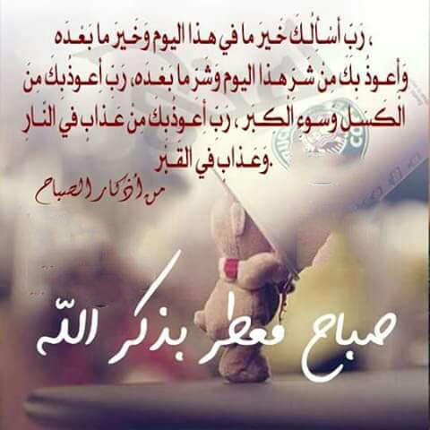 صباح الورد والسرور 💞 🌿 🙋 🌴 صباح يدوم طويلاً 
صباحكم مشرق كاشراقة ارواحكم النقيه صباحكم كله سعاده صباح الورد
