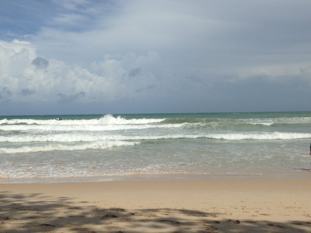 webfq tweet picture