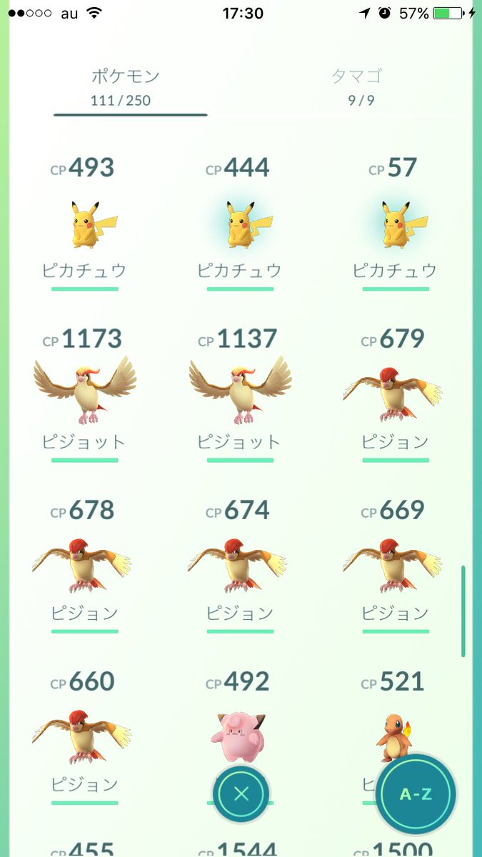 だ やま ねこは癒し 千本浜公園でポケモンしてきた 10kmタマゴからポリゴン出た あとピカチュウが2体も出た ポケモンgo