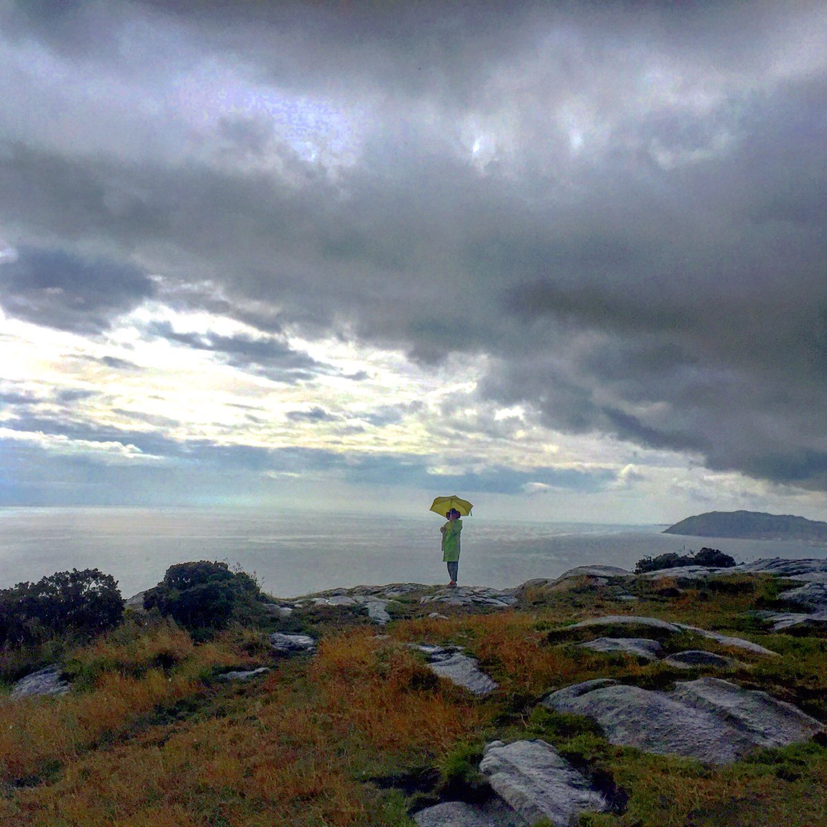 Around Dalkey tweet media