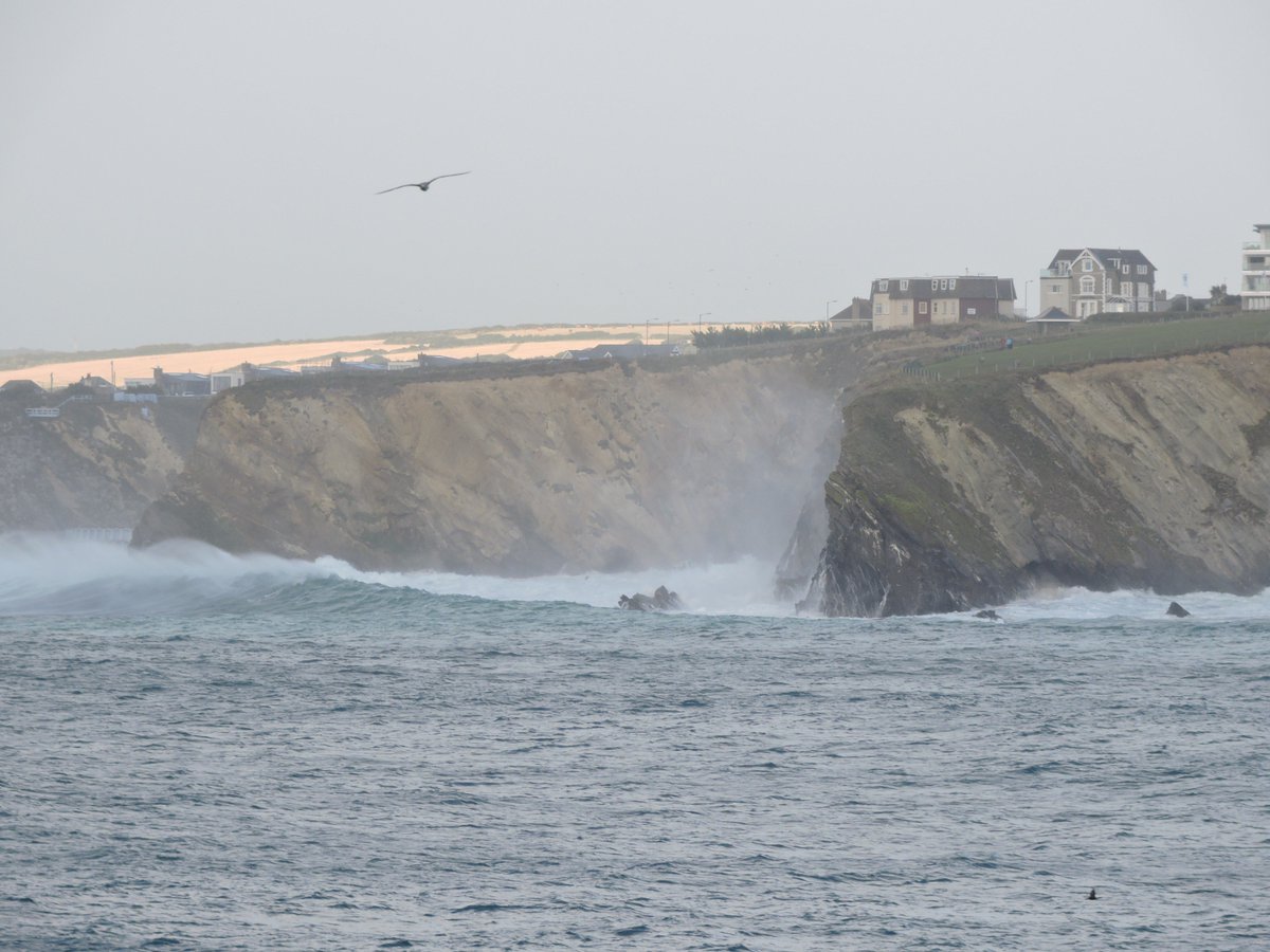 PLBlatchford's tweet photo. Seals &amp; Turnstone flock seek cover during high tide &amp; Summer storm #Cornwall #seals2016 #storms https://t.co/42BVzWeVok