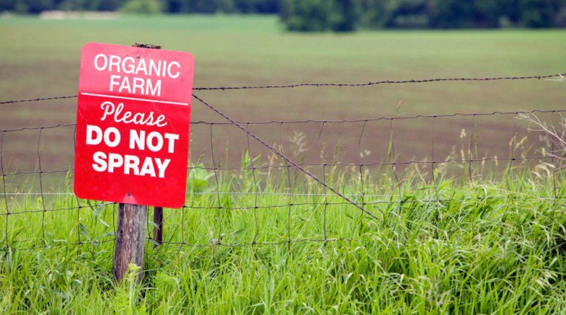 Go4Fresh's tweet photo. Why is Organic Farming Better!! #organicfarming #ecofriendly
Read about it on our blog!!
 https://t.co/WODZsiIaPb https://t.co/F8J5IFQ7nm