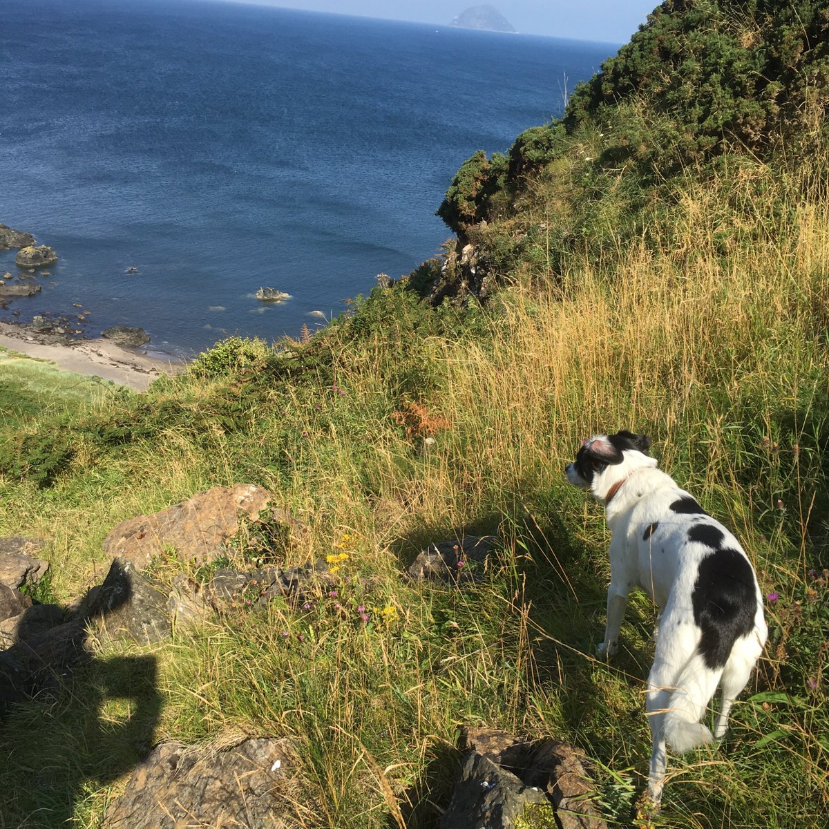 about to descend to Sawney Bean's cave - to be followed by toast and soup at Ballantrae