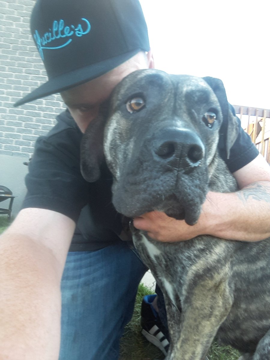 millersbbqSDK's tweet photo. @Gourmet_Gents of course....so do brindle ones lol https://t.co/VNM5UY4VkF