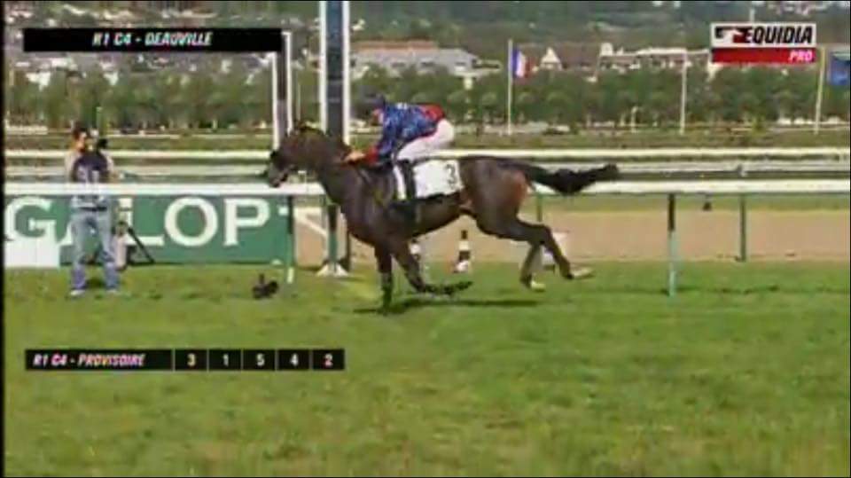 KRV1897's tweet image. #highalpha #deauville german-racing.com/gr/aktuelles/m…