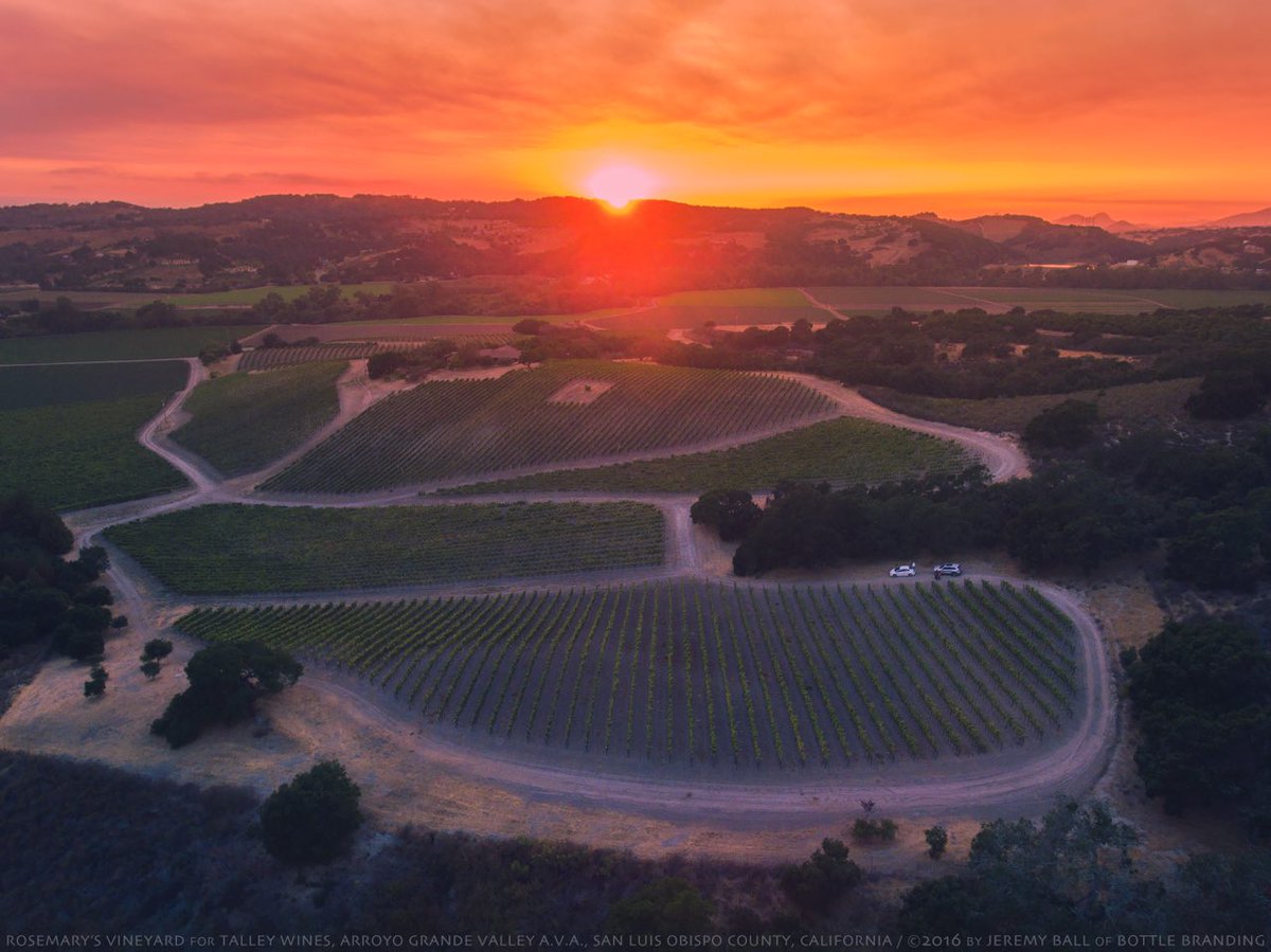 #Sunset at Rosemary's #Vineyard this past Thursday! #TalleyWines #ArroyoGrande #Wine #California #BottleBranding