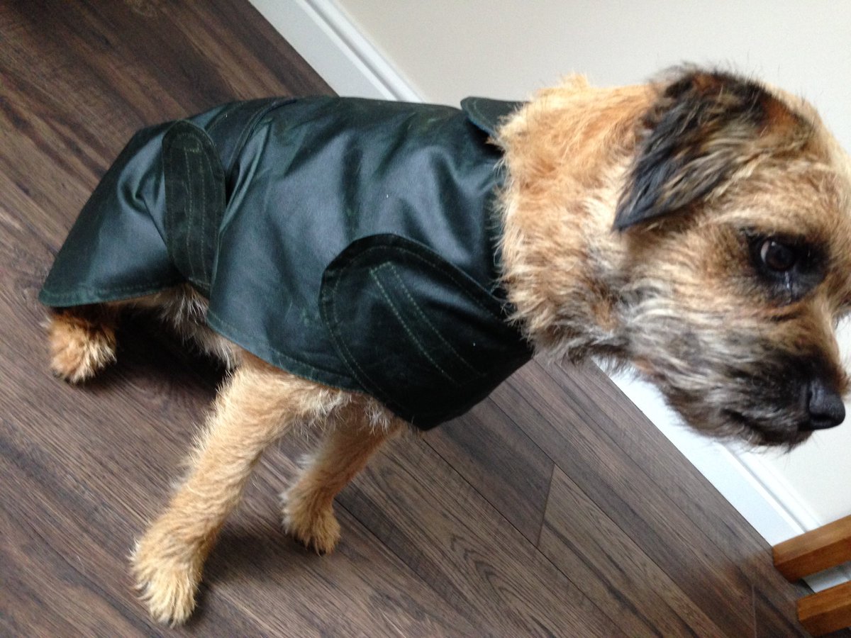 weebroondug's tweet image. What do you think of my new waxed jacket? Matches my Mums! #bt_posse #bt #btposse #dogsoftwitter
