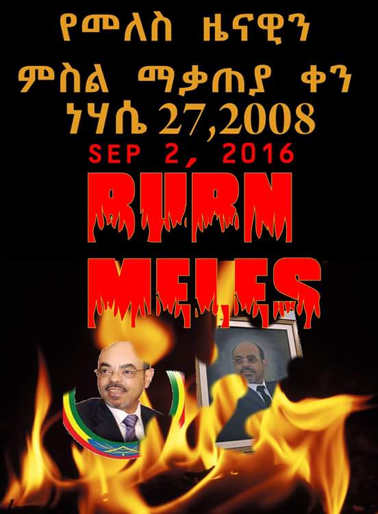 MerfeQulef's tweet photo. This made my day! 

:) :) :) https://t.co/MMrvinN8C2