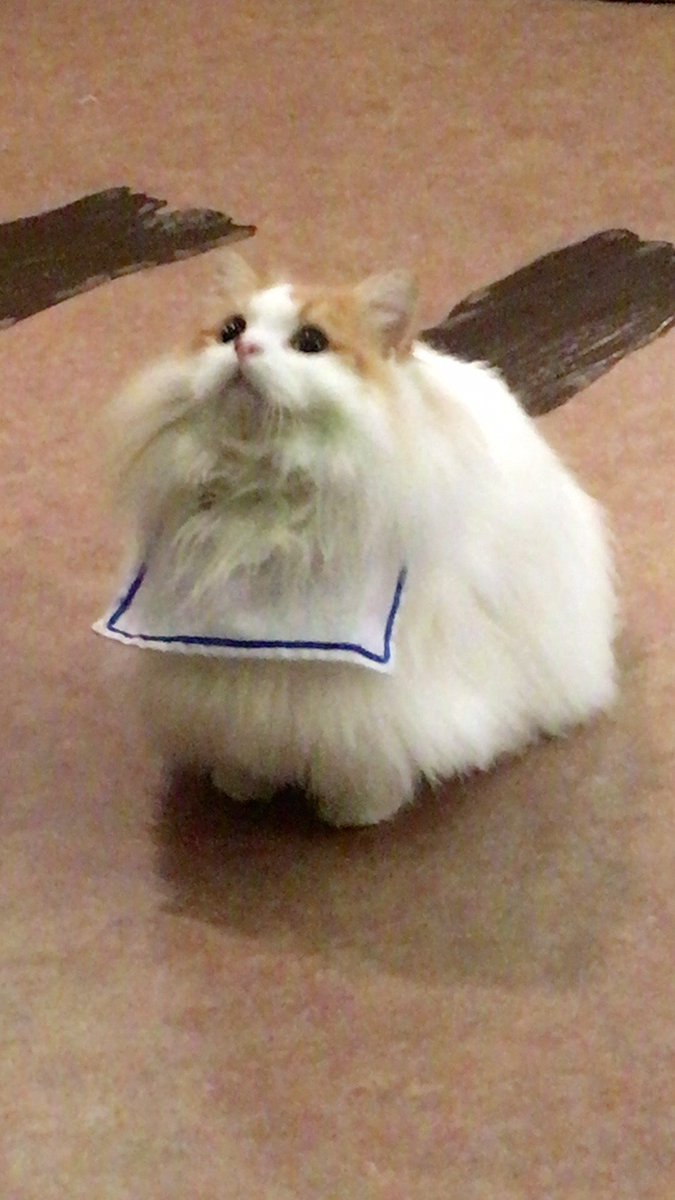 chesu2525's tweet photo. この前行った吉祥寺の猫カフェ可愛かった〜✨
内装もドリンクとかのメニューも凝ってて癒やし空間*｡٩(ˊᗜˋ*)و*｡
しかも時間制限無しというありがたさ✨✨
また会いに行くよねこちゃーん(๑¯﹀¯๑) https://t.co/UYUvXPSASz