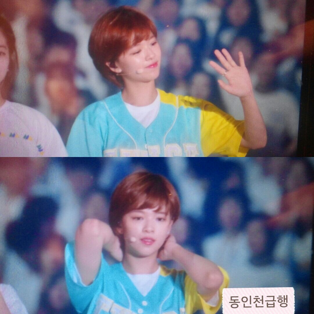 [트와이스] 강릉 열린음악회 멤버별 프리뷰 사진 | 인스티즈