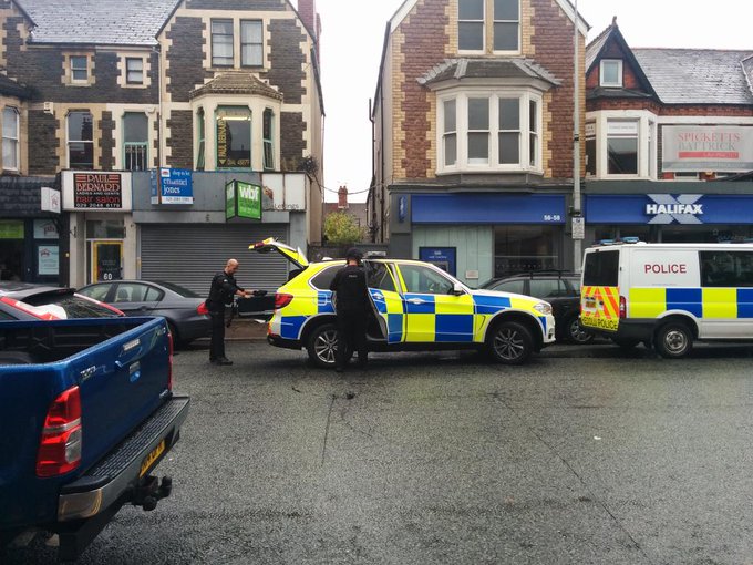 View image on Twitter