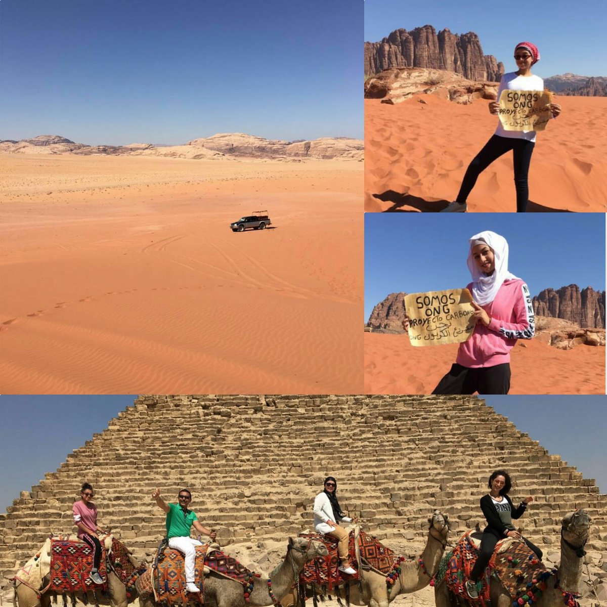 NGO Carbon Project | الكربون مشروع
proyectocarbono.org