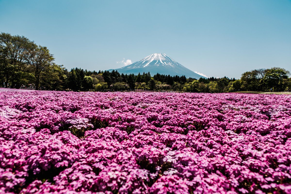 theonlybael's tweet photo. japan ii #bonding_time #travelphotography https://t.co/44ENeOuOq7
