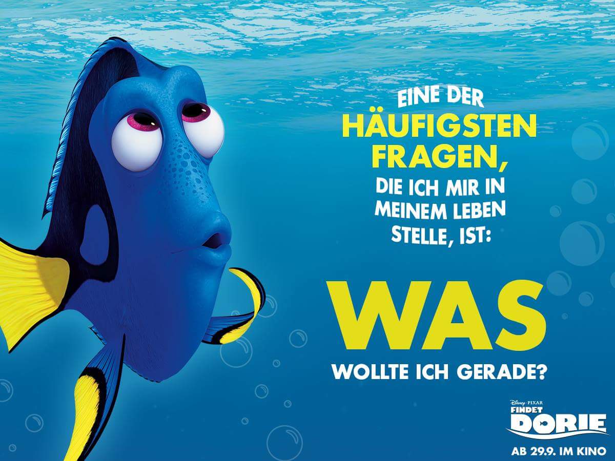 FindetDorie's tweet photo. Wer ist Dorie und wenn ja wie viele? 😉 #FindetDorie #FindingDory https://t.co/kiz0xq8S7U