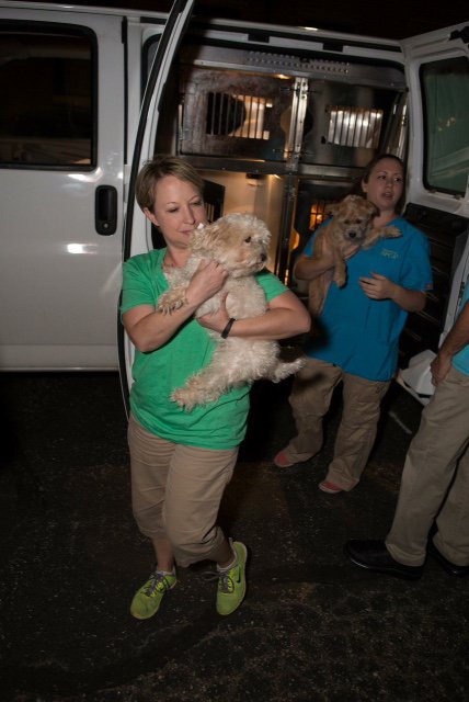 humaneworldorg's tweet photo. Homeless animals evacuated from the Louisiana flood zone arrived at @RichmondSPCA last night! https://t.co/OrpGsf8Ur2