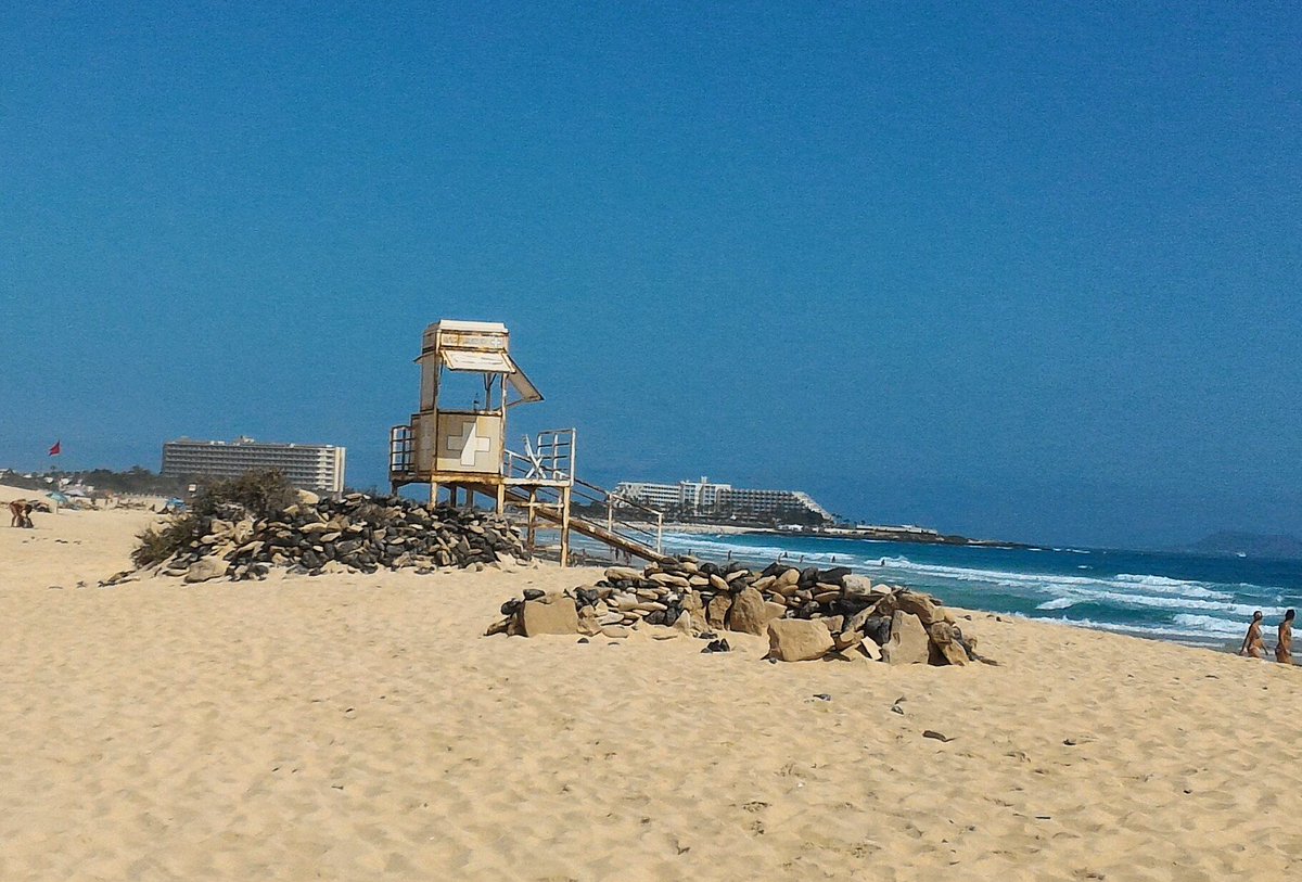 Elena Sáiz tweet media