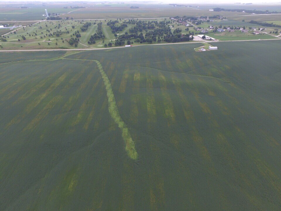 ChadNCFS's tweet photo. ILeVO split plant in Marshall County https://t.co/hPbEve2Ep1