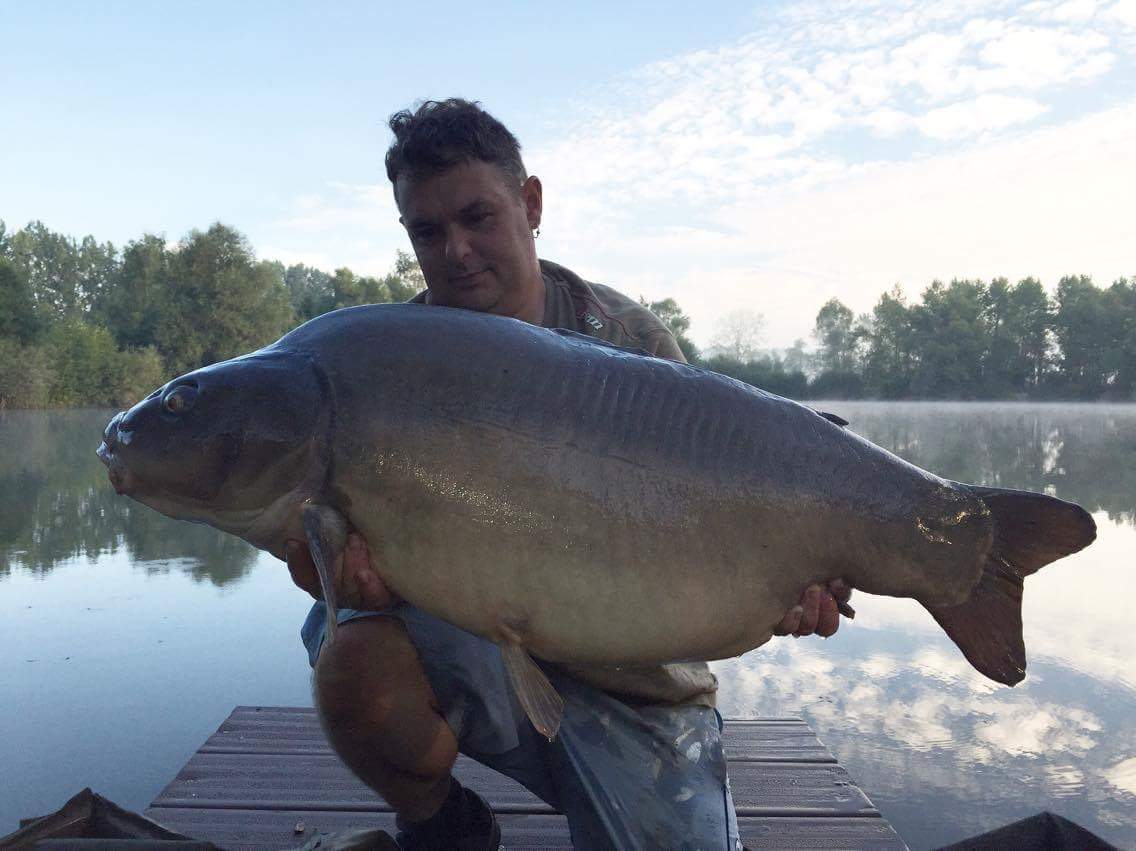 DannyCallis's tweet photo. Had this 49.6 near leather this week using #sharptackle size 4 curveshank hooks and #galaxybaits pepper's wafter https://t.co/vxTy7loO9F