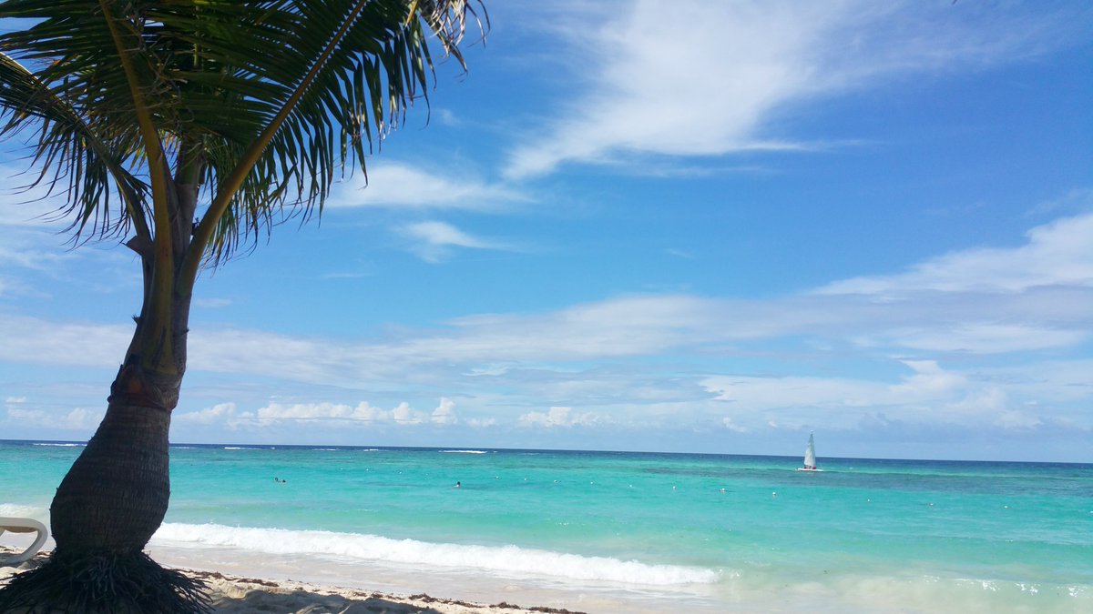 goingremote's tweet photo. We spent the week working in the #domican check us out on https://t.co/oUCBeUZJgw #remotework #nomad #namads #work https://t.co/HVqK3enJ1b