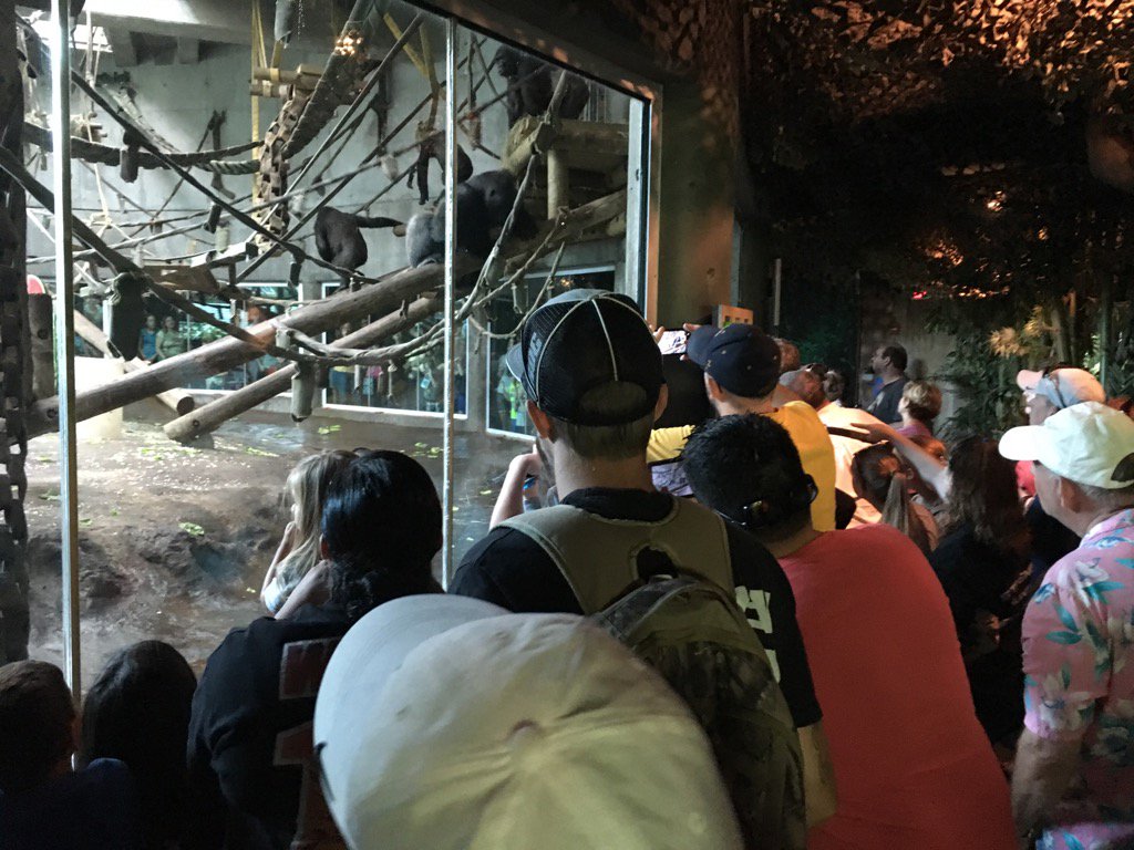 Most photographed baby in the  City! <a href="/SedgwickCoZoo/">Sedgwick County Zoo</a>