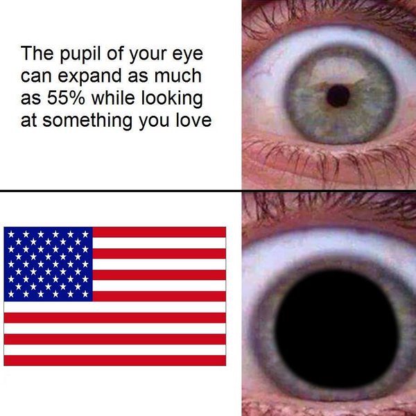 CloydRivers's tweet photo. Merica. https://t.co/8X1iYLpRQK