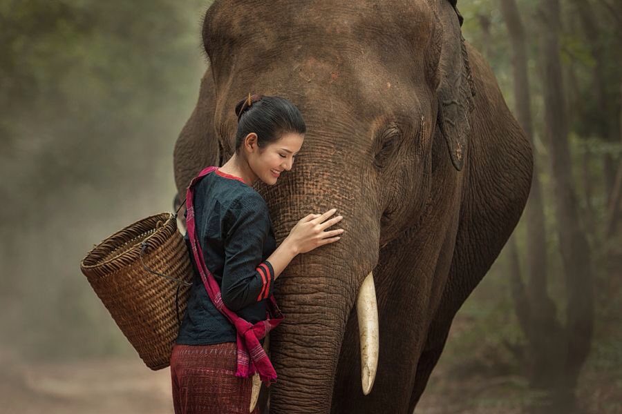 My religion is very simple.
My religion is kindness.

Dalai Lama
Pic V Uthairam
