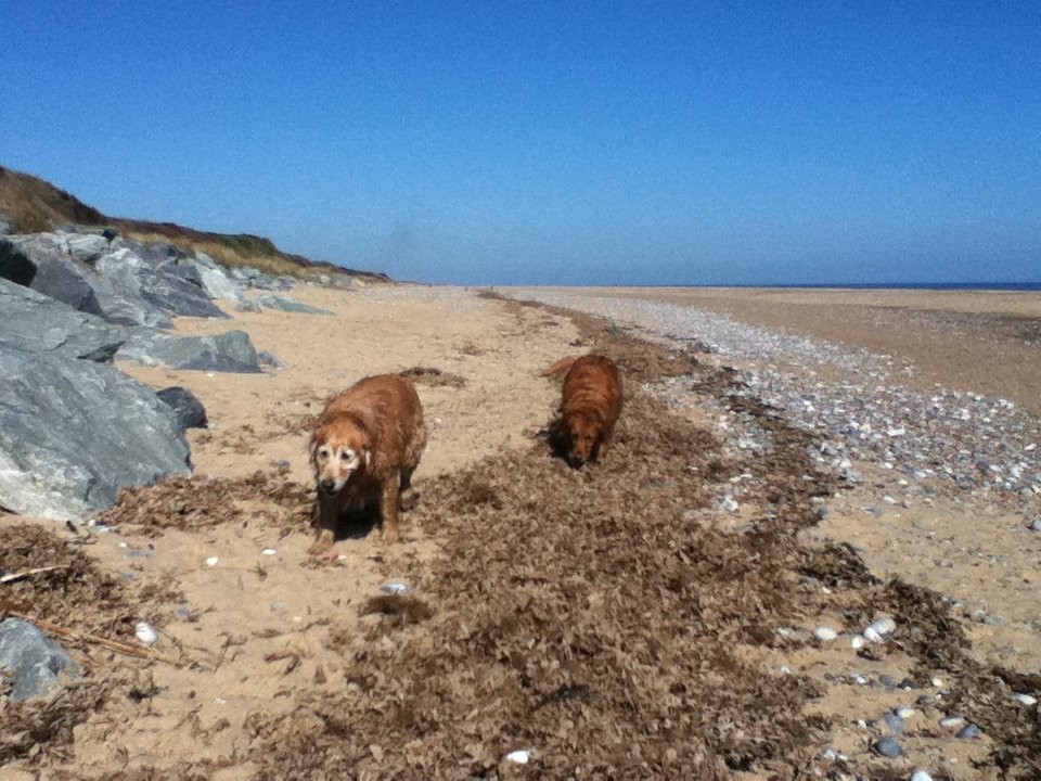 MissSuzeH's tweet photo. Usually from London but will support @ImThomasGibson from anywhere including a beach in Norfolk #TGfandomLOCATION https://t.co/kf2csQF3Pz
