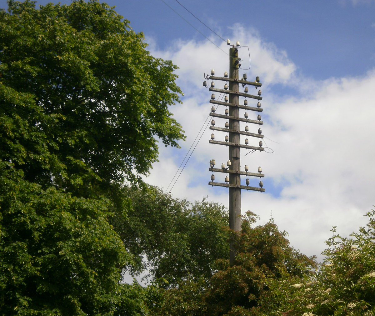 TPAS0001's tweet image. Pole of the Month.  @bt_uk yet to confirm this first ever #telegraphpole Preservation Order. telegraphpoleappreciationsociety.org