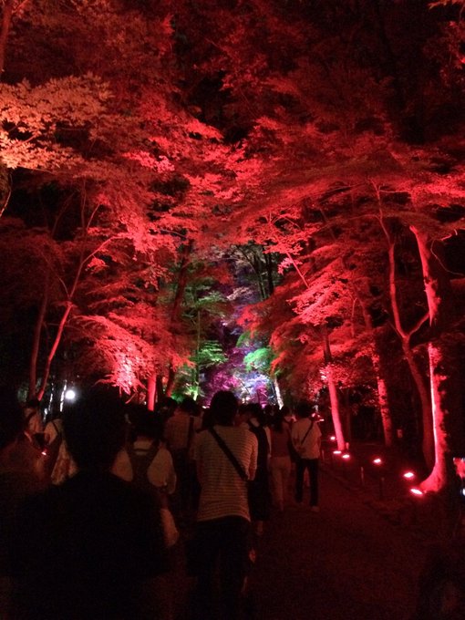 神社のtwitterイラスト検索結果 古い順