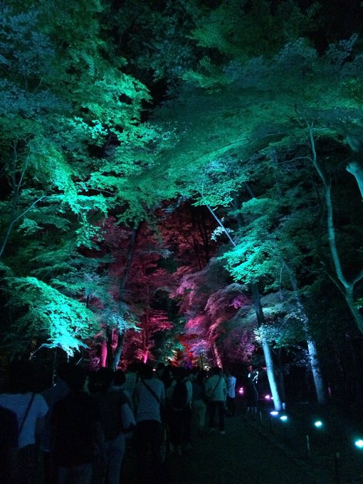 神秘的のtwitterイラスト検索結果 古い順 神秘的のtwitterイラスト検索結果 古い順