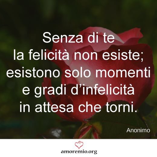Amoremio Org Senza Di Te La Felicita Non Esiste Esistono Solo Momenti E Gradi D Infelicita In Attesa Che Torni Anonimo Amore