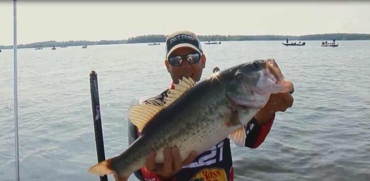 Check out this compilation of the biggest bass caught during the year!   ow.ly/TXDN303oy4i