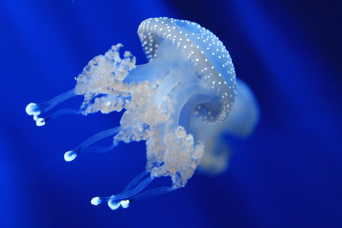 <a href="/ldscommandments/">Irma</a> 👋🦀 <a href="/mmjoymm_StP/">LittleRiver</a> <a href="/maype7/">✿⊱ Mayuli Peña R ✿⊱</a> <a href="/GucciGuccin/">GUCCI〜</a> <a href="/Keith1Chill/">Keith Childress</a> <a href="/monique_2307/">monique gorospe</a> @nxndndj <a href="/fallercrismoura/">Cris</a> 👋🦀