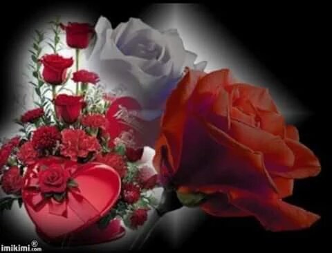 🌷<a href="/mmjoymm_StP/">LittleRiver</a> 🌷<a href="/GucciGuccin/">GUCCI〜</a> @mkeljukka <a href="/maype7/">✿⊱ Mayuli Peña R ✿⊱</a> <a href="/Keith1Chill/">Keith Childress</a> @nxndndj <a href="/fallercrismoura/">Cris</a> <a href="/monique_2307/">monique gorospe</a> Thanks 💋❤