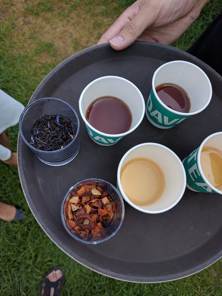 Sweetery Toronto Food Festival 2016 David's Tea