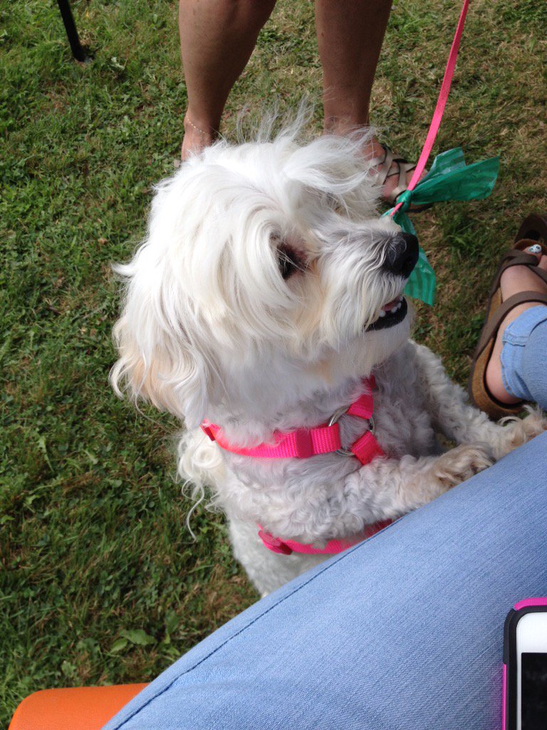 Road Crew tweet media