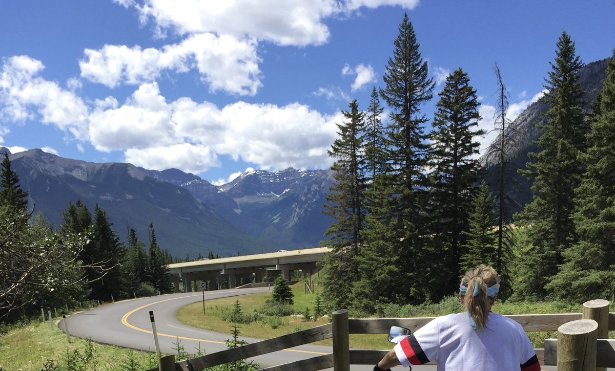 Denise13F's tweet photo. When your journey keeps you looking forward you know you're on the right path. #LivingInGratitude #EveryStepCounts https://t.co/jR9LN2B23f
