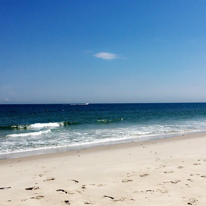 RachelFFisher's tweet photo. Went to Island Beach State Park yesterday, I have discovered 6 green head bites - CURSE YOU BUGS! https://t.co/cusYf4klp0