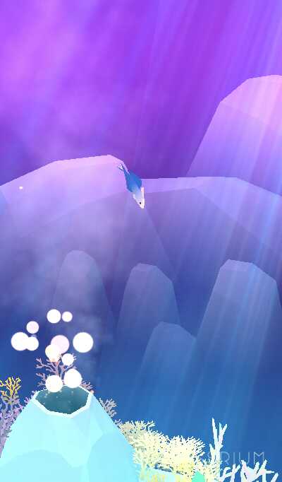 Screeeeeeee's tweet image. My Scissortail Goby:) 
#abyssrium
goo.gl/LoUFkh