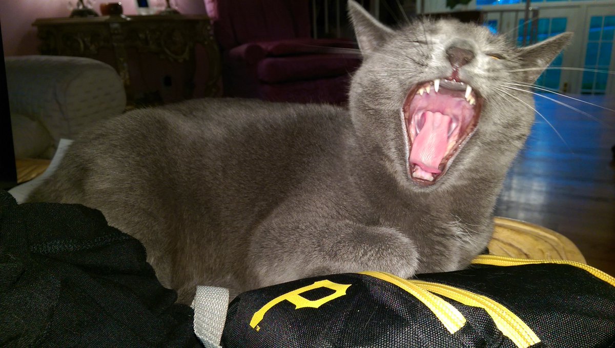 _jim's tweet image. Let's go Bucs!