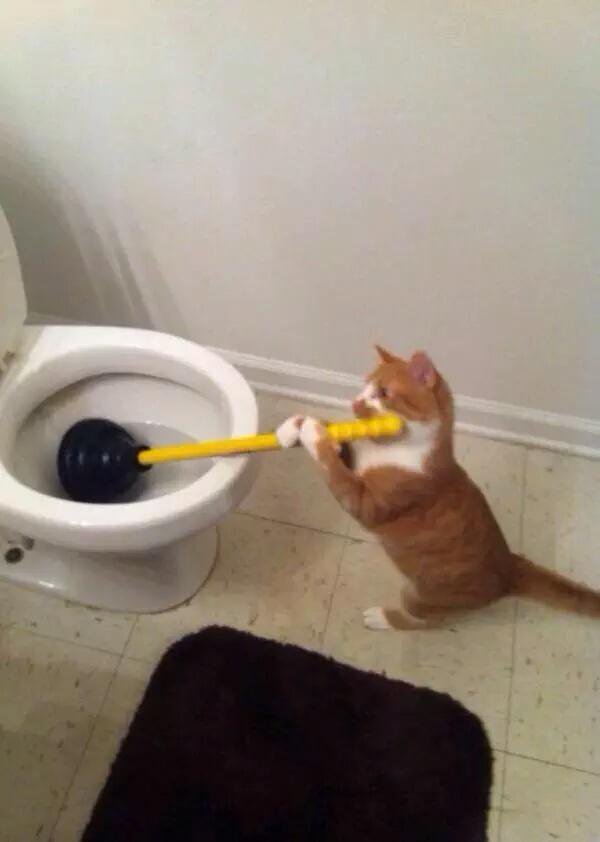 CauseWereGuys's tweet photo. "Nobody helps me in this fucking house" https://t.co/Spd4RRbfOt